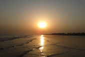 IIP Online Student Photography